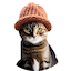 Catwifhat