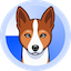 Basenji