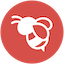 BEE Launchpad