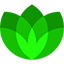 Serenity Shield