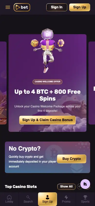 Playbet desktop screenshot